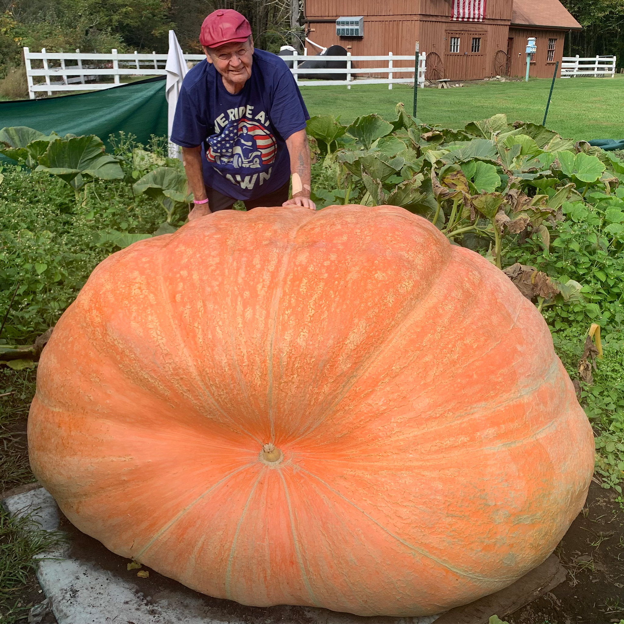 1907 pound Giant pumpkin Dick Wallace
