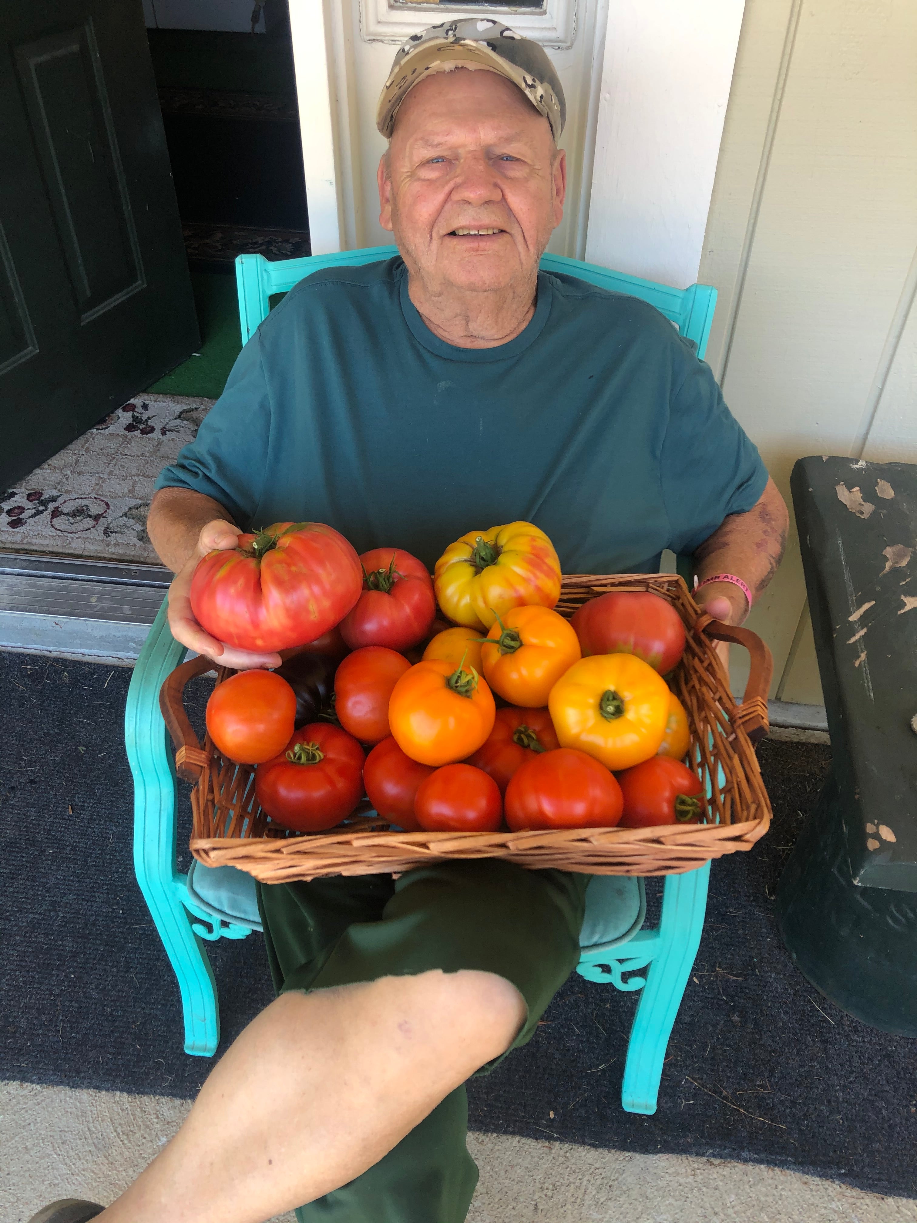 Tomatoes grown with  Plant Marvel 12-31-14