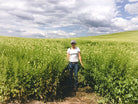 Mighty Mustard Seed