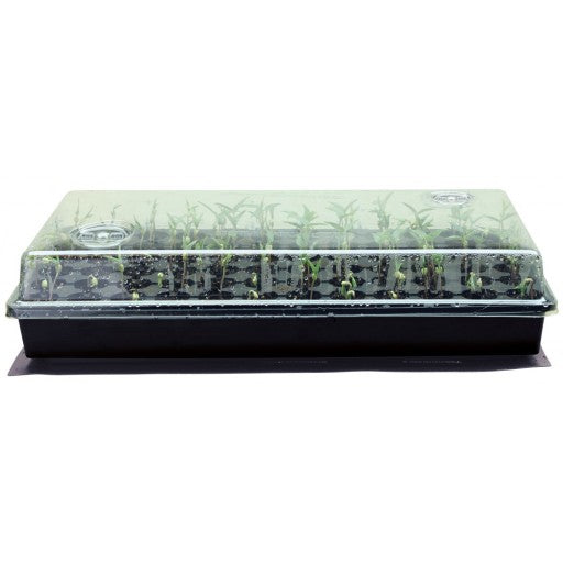 Germination Station