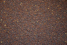 Brown Mustard Seed