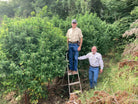 Mycorrhizal Inoculant Wallace Organic Wonder