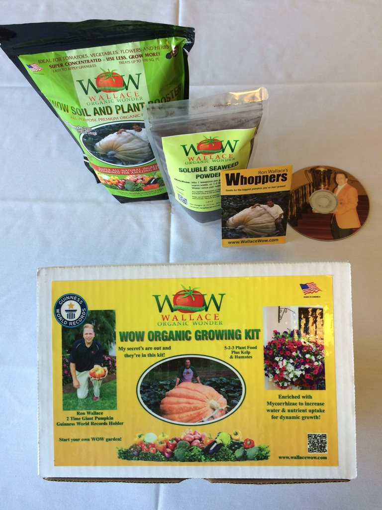Giant Pumpkin Growing Kit