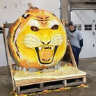 Giant Pumpkin with WOW Tee SHirt