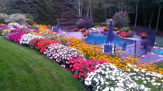 pool with flowers