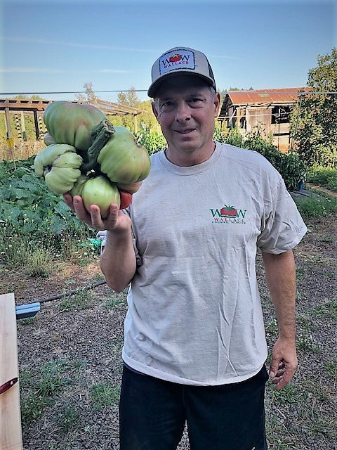 Wallace Organic Wonder Trucker Hat