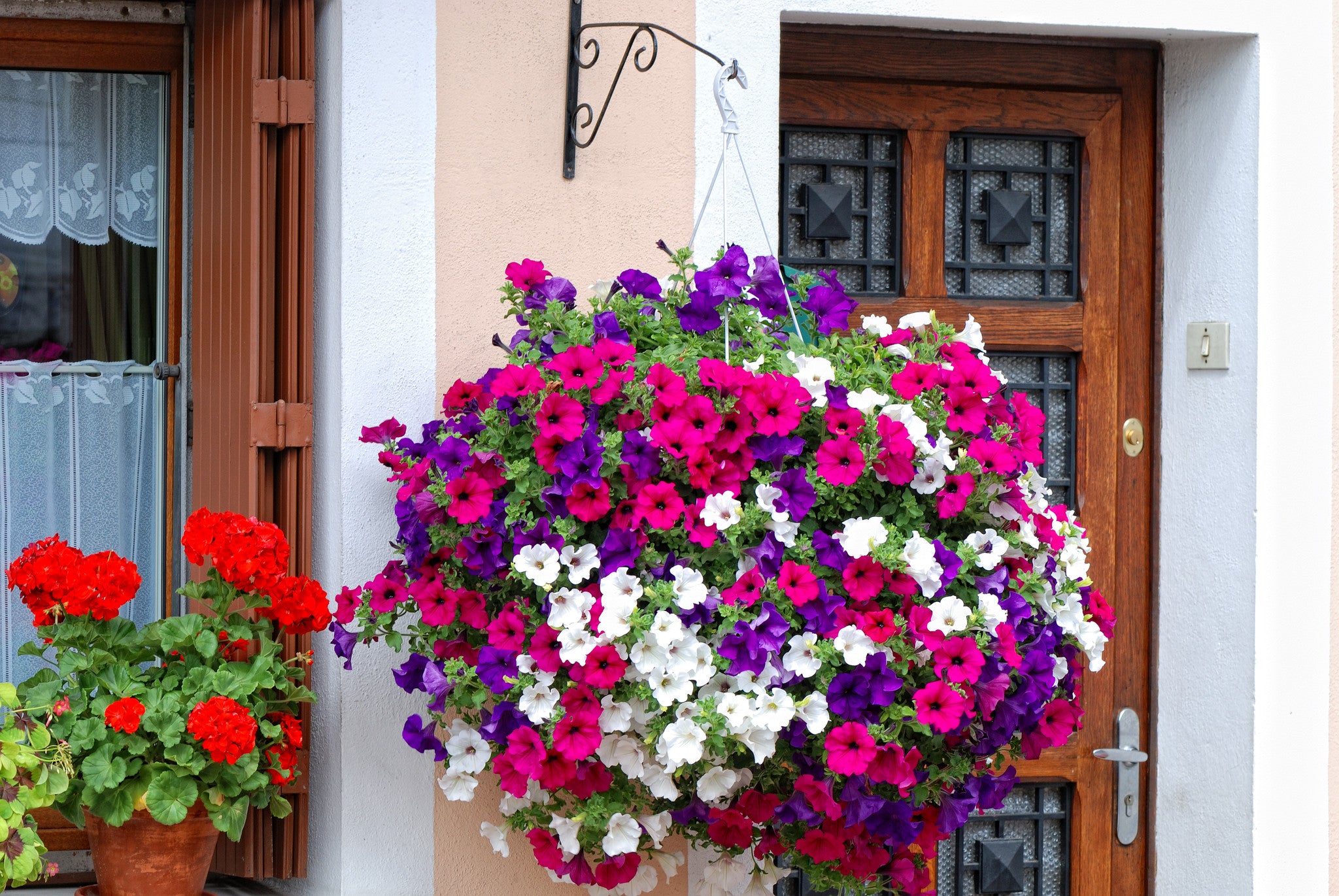 flower basket with  Soil and Plant Booster Wallace WOW