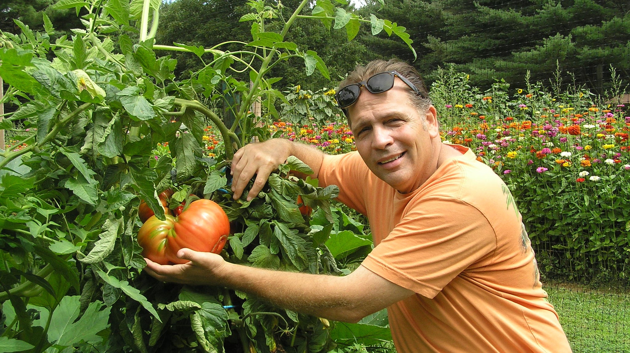 Growing Organic Tomatoes with Russell Landry!