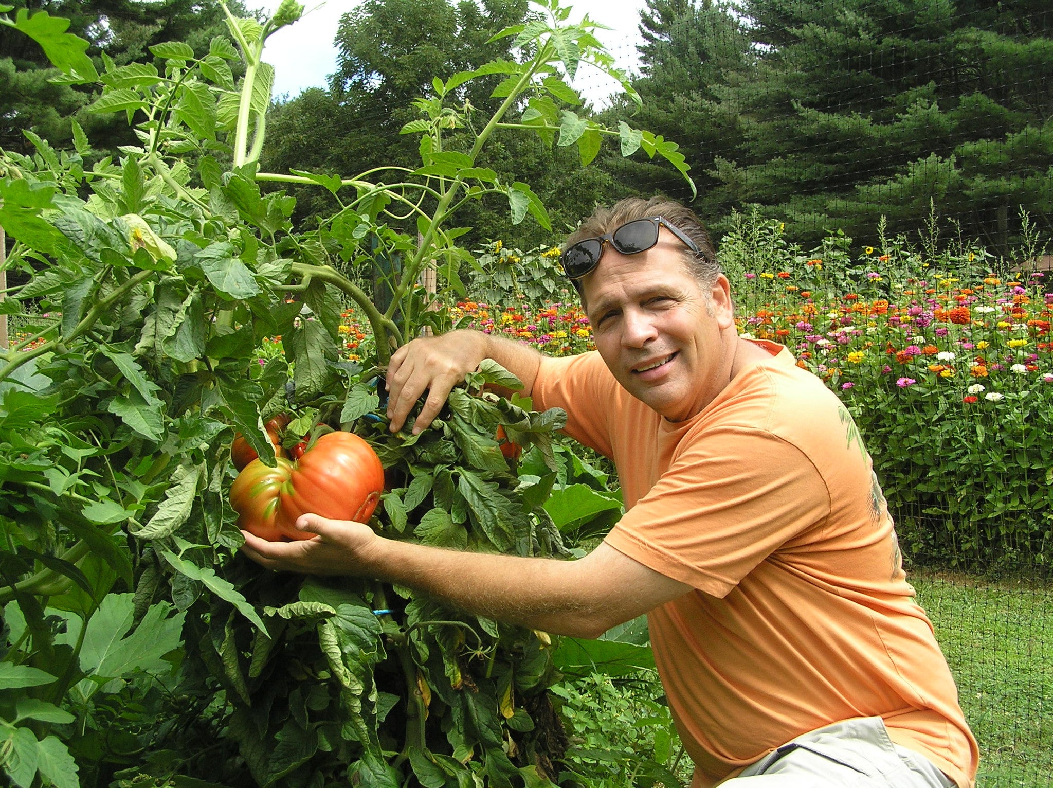 Growing Organic Tomatoes with Russell Landry!