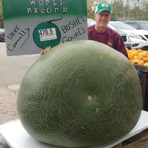 World Record  470.5 Bushel Gourd DVD Wallace Organic Wonder