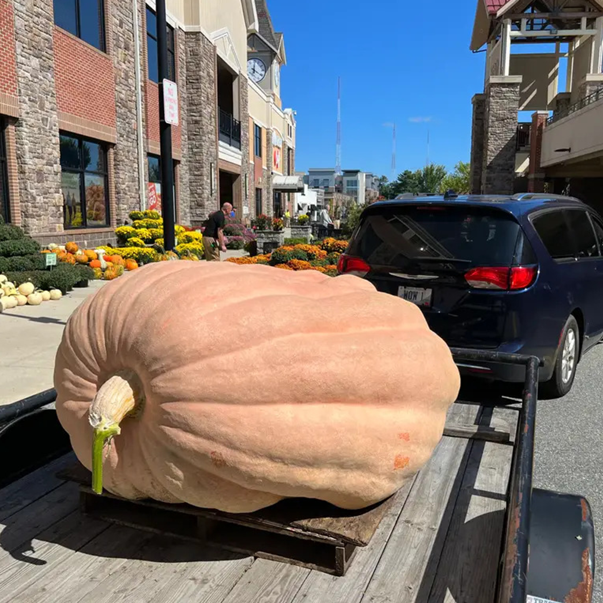 179 pound Giant pumpkin Dick Wallace