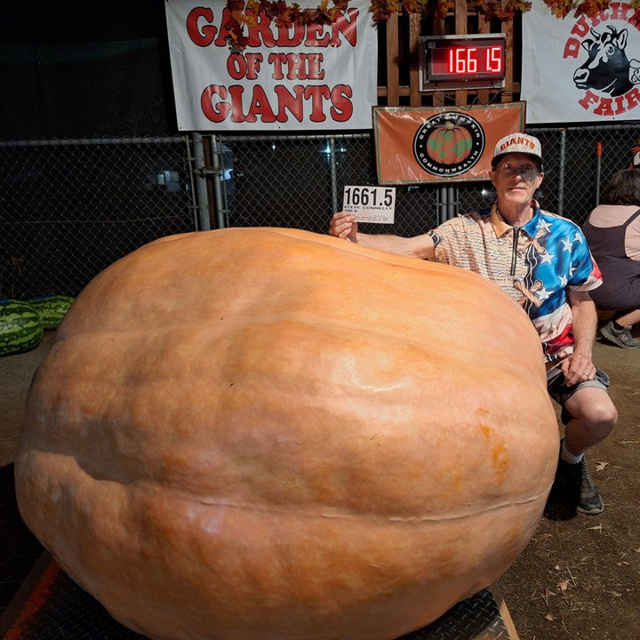 Giant Pumpkin Seed 1661.5 Connolly Wallace Organic Wonder