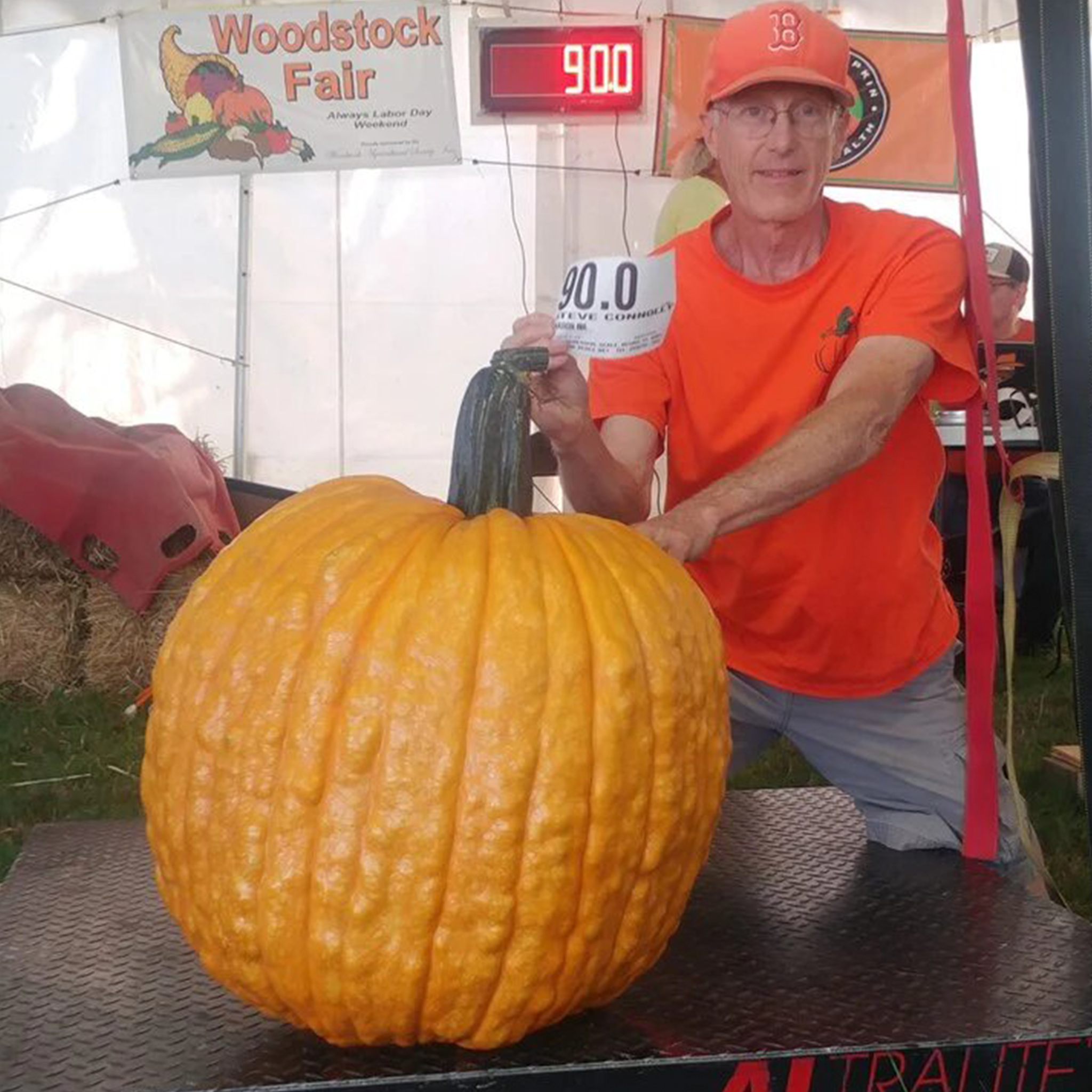 giant field pumpkin Steve Connolly