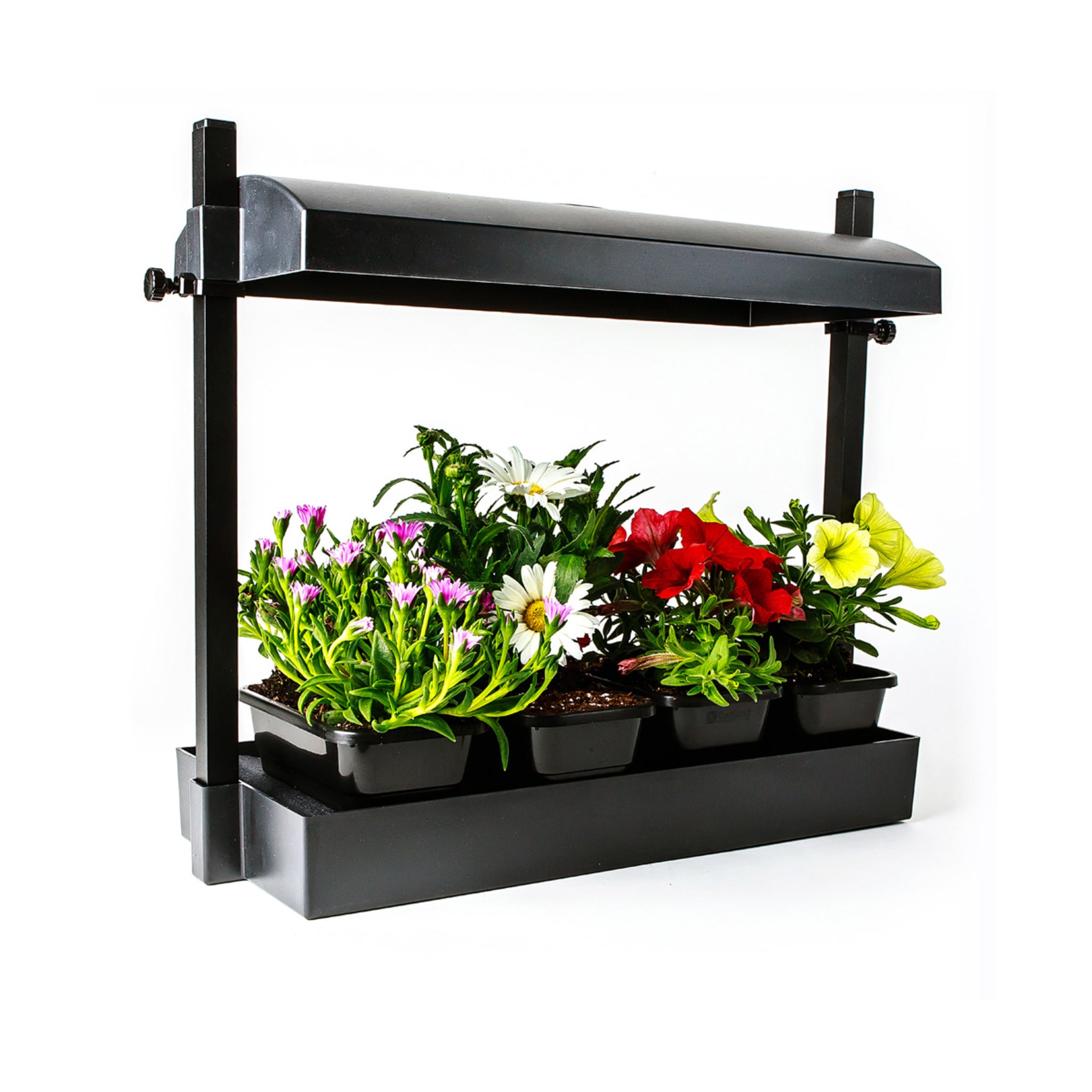 t5 plant grow lights SunBlaster Micro T5 Grow Light Garden, Black