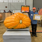 Giant pumpkin Steve Connolly