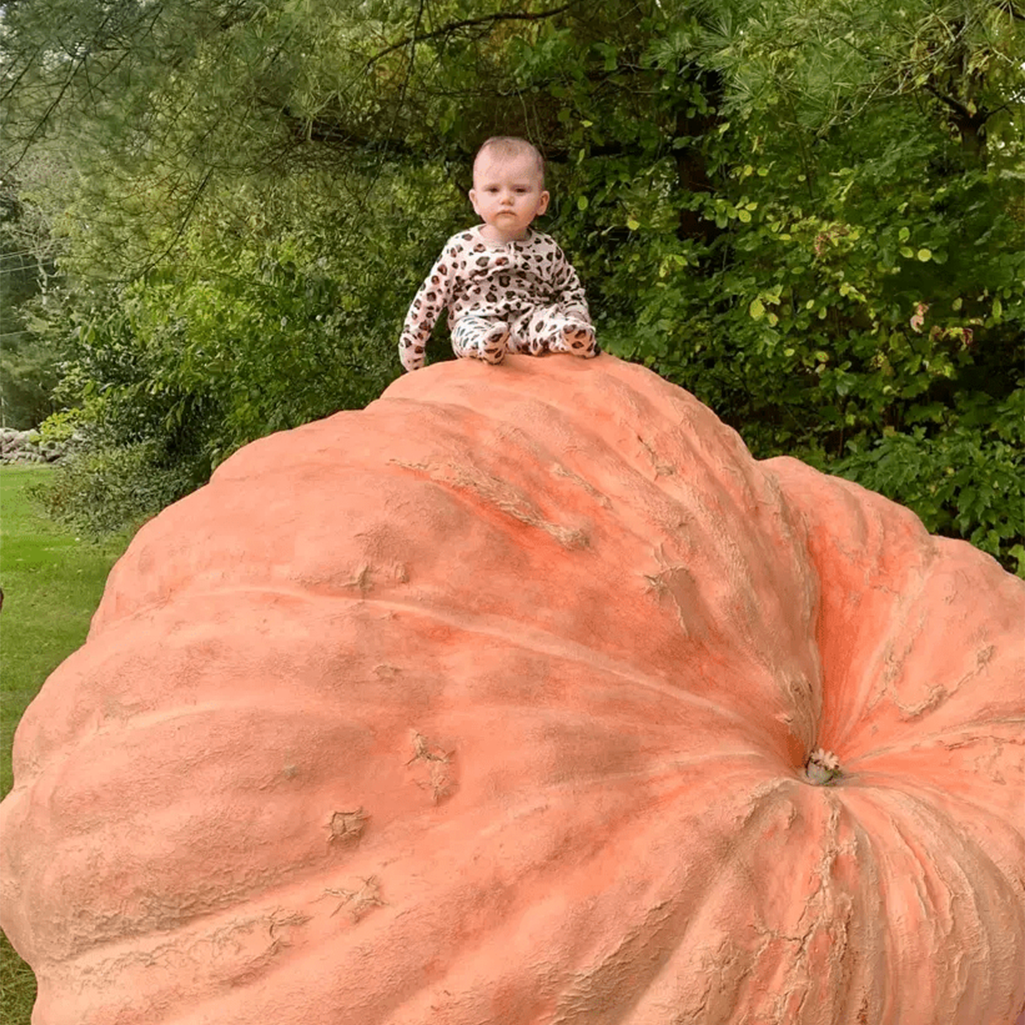 Baby on Giant Pumpkin
