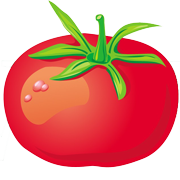 Mycorrhizal Fungi & Organic Fertilizers logo