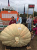 Giant Pumpkin Seeds Worlds Biggest from | Wallace's Whoppers – Wallace ...