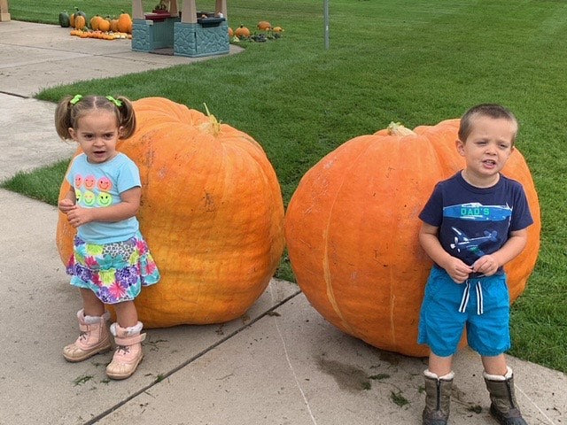 Little kids with giant pumpkins