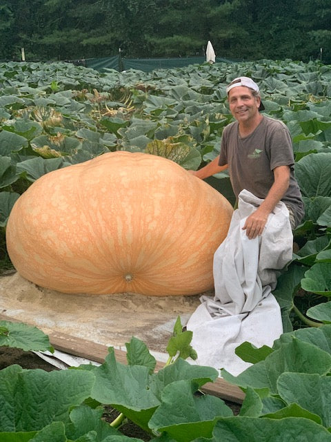 1421 pound giant pumpkin Ron Wallace