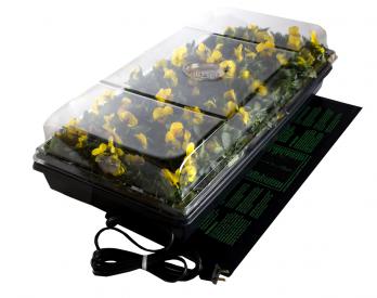 Jump Start Germination Station for starting seeds and cuttings