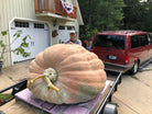 Ron Wallace with Giant Pumpkin