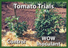 Mycorrhizal Inoculant trials Wallace Organic Wonder