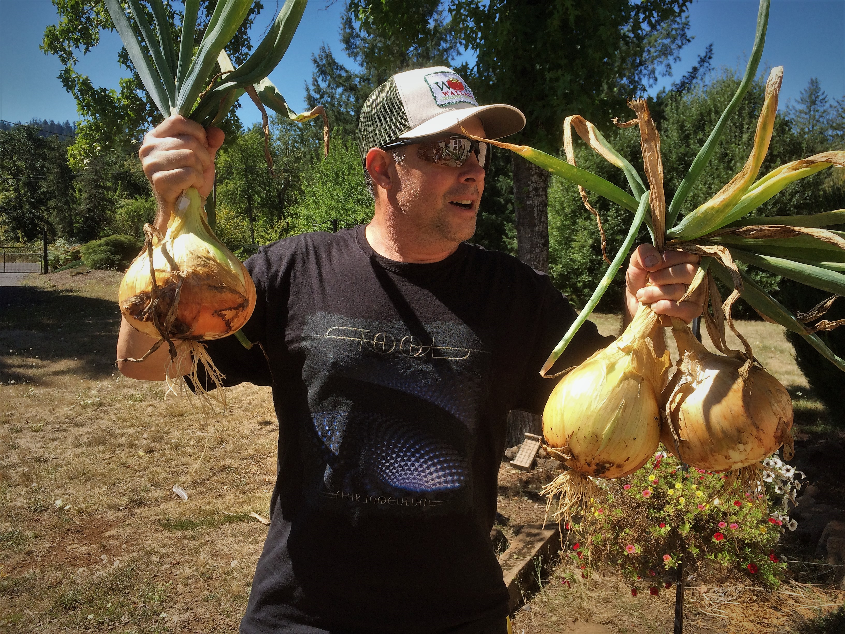 Giant Onions grow with WOW Super Starter Paks