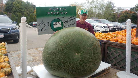 470.50 Connolly 2020 World Record Bushel Gourd