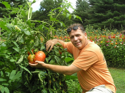 Organic Tomato Fertilizer Super Starter Paks Wallace Organic Wonder