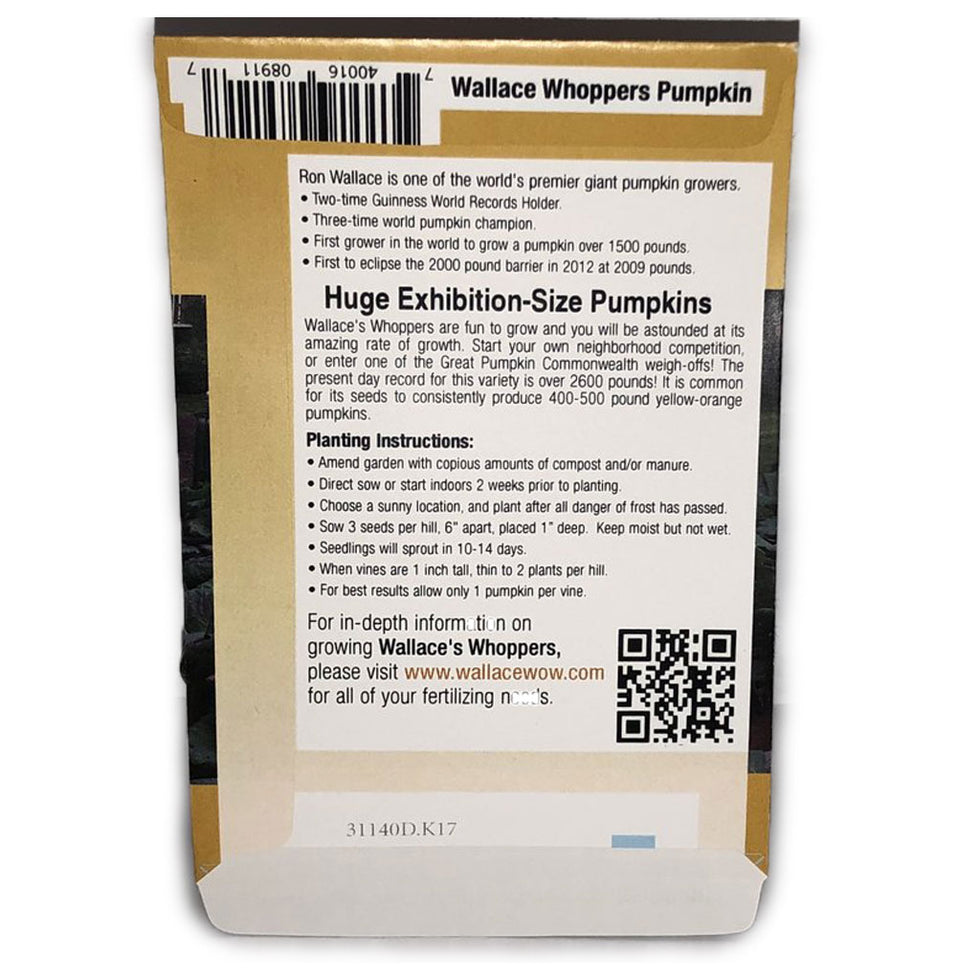 Giant Pumpkin Seeds Worlds Biggest from | Wallace's Whoppers – Wallace ...