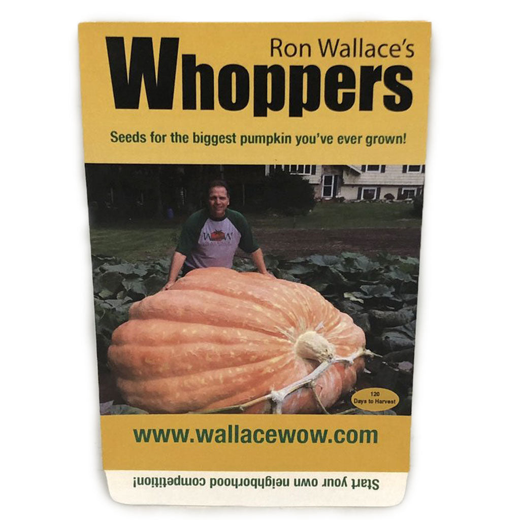 Wallace's Whoppers giant pumpkin seeds